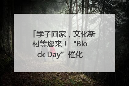 学子回家，文化新村等您来！“Block Day”催化学院式街区新生态