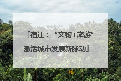 宿迁：“文物+旅游”激活城市发展新脉动