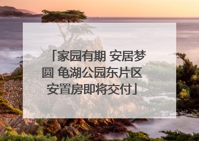 家园有期 安居梦圆 龟湖公园东片区安置房即将交付