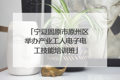 宁夏固原市原州区举办产业工人电子电工技能培训班