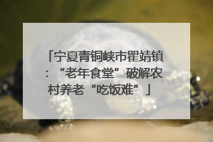 宁夏青铜峡市瞿靖镇：“老年食堂”破解农村养老“吃饭难”