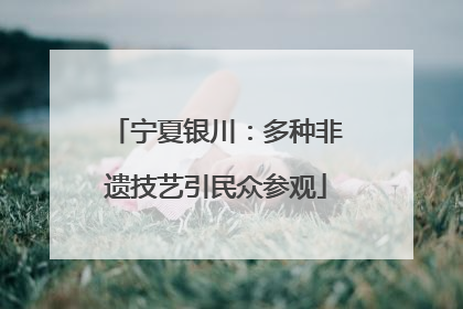 宁夏银川：多种非遗技艺引民众参观