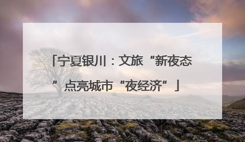宁夏银川：文旅“新夜态”点亮城市“夜经济”