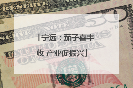 宁远：茄子喜丰收 产业促振兴