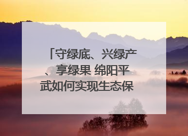 守绿底、兴绿产、享绿果 绵阳平武如何实现生态保护与经济发展双赢？｜新闻发布最前线·深一度