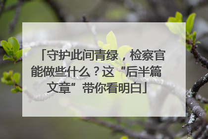 守护此间青绿，检察官能做些什么？这“后半篇文章”带你看明白