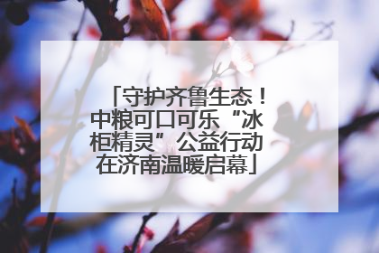 守护齐鲁生态！中粮可口可乐“冰柜精灵”公益行动在济南温暖启幕