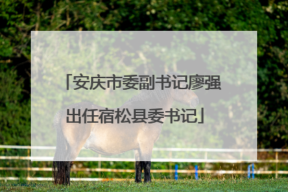 安庆市委副书记廖强出任宿松县委书记
