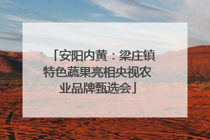 安阳内黄：梁庄镇特色蔬果亮相央视农业品牌甄选会