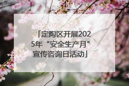 定陶区开展2025年“安全生产月”宣传咨询日活动