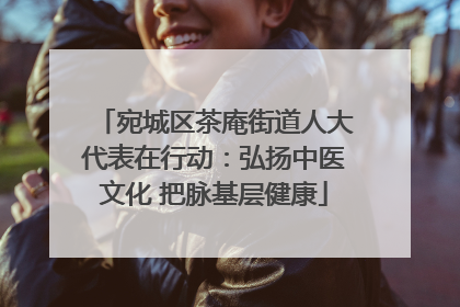 宛城区茶庵街道人大代表在行动：弘扬中医文化 把脉基层健康