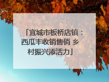 宜城市板桥店镇：西瓜丰收销售俏 乡村振兴添活力