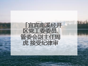 宜宾南溪经开区党工委委员、管委会副主任周虎 接受纪律审查和监察调查