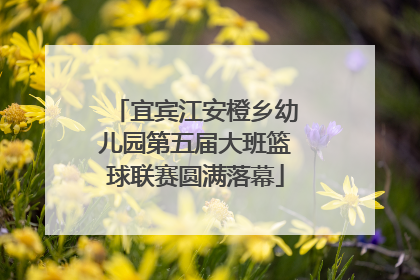 宜宾江安橙乡幼儿园第五届大班篮球联赛圆满落幕