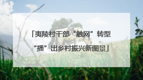 夷陵村干部“触网”转型“播”出乡村振兴新图景