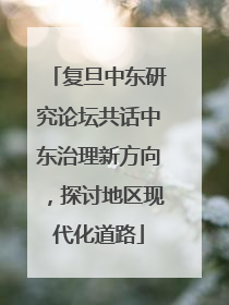 复旦中东研究论坛共话中东治理新方向，探讨地区现代化道路
