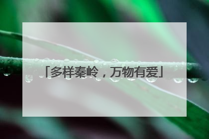 多样秦岭，万物有爱