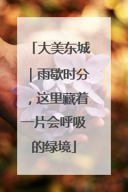 大美东城｜雨歇时分，这里藏着一片会呼吸的绿境