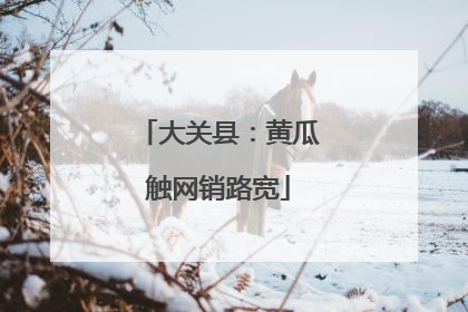 大关县：黄瓜触网销路宽