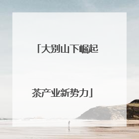 大别山下崛起茶产业新势力