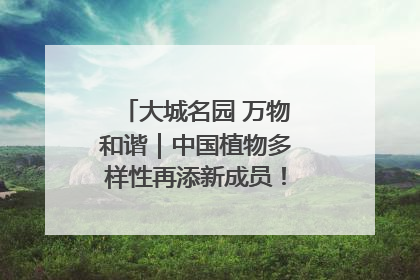 大城名园 万物和谐｜中国植物多样性再添新成员！它只在西藏墨脱