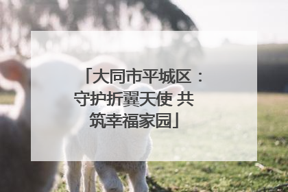 大同市平城区：守护折翼天使 共筑幸福家园