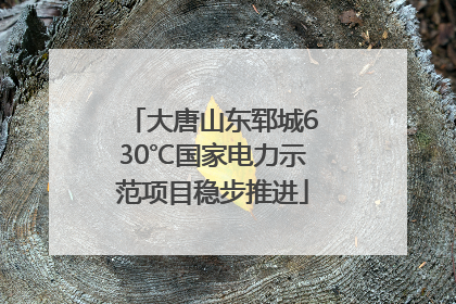 大唐山东郓城630℃国家电力示范项目稳步推进