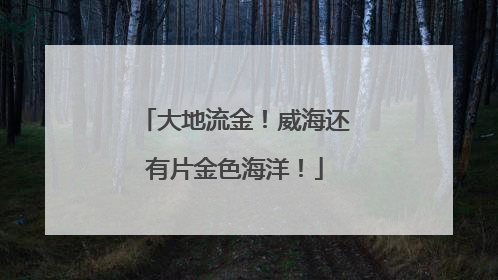 大地流金！威海还有片金色海洋！