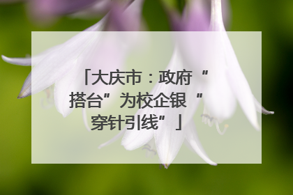 大庆市：政府“搭台”为校企银“穿针引线”