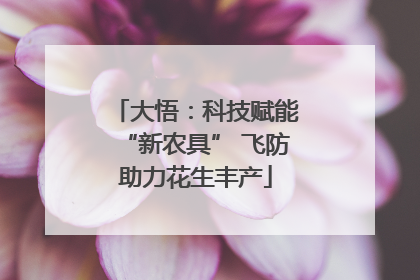 大悟：科技赋能“新农具” 飞防助力花生丰产