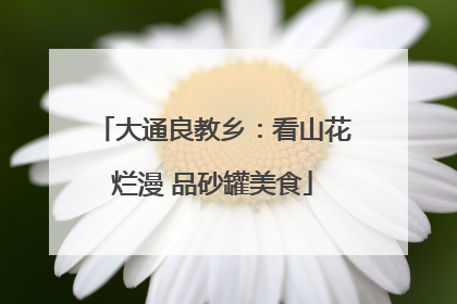 大通良教乡：看山花烂漫 品砂罐美食