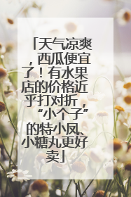 天气凉爽，西瓜便宜了！有水果店的价格近乎打对折，“小个子”的特小凤、小糖丸更好卖