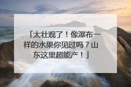 太壮观了！像瀑布一样的水果你见过吗？山东这里超能产！