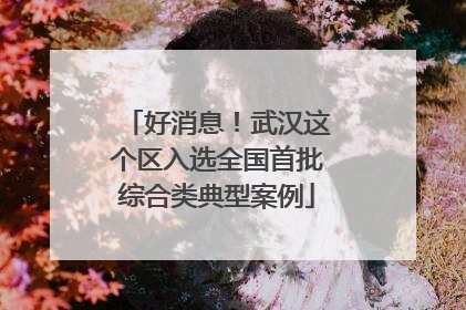 好消息！武汉这个区入选全国首批综合类典型案例
