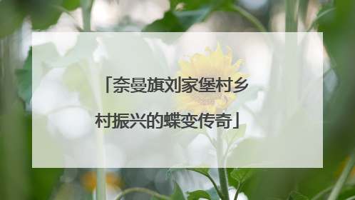 奈曼旗刘家堡村乡村振兴的蝶变传奇