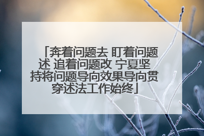 奔着问题去 盯着问题述 追着问题改 宁夏坚持将问题导向效果导向贯穿述法工作始终