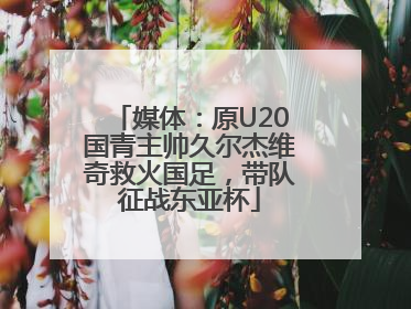 媒体：原U20国青主帅久尔杰维奇救火国足，带队征战东亚杯