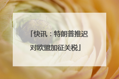 快讯：特朗普推迟对欧盟加征关税