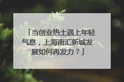 当创业热土遇上年轻气息，上海南汇新城发展如何再发力？