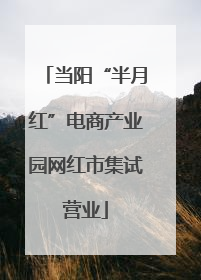 当阳“半月红”电商产业园网红市集试营业