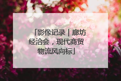 影像记录｜廊坊经洽会，现代商贸物流风向标