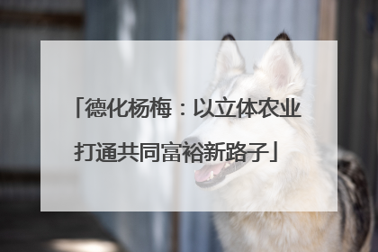 德化杨梅：以立体农业打通共同富裕新路子