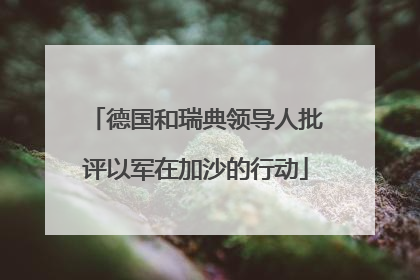 德国和瑞典领导人批评以军在加沙的行动