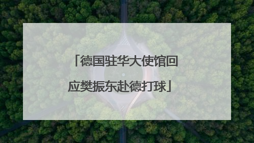 德国驻华大使馆回应樊振东赴德打球