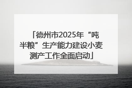 德州市2025年“吨半粮”生产能力建设小麦测产工作全面启动