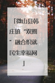 微山县韩庄镇“双圈”融合织就民生幸福网