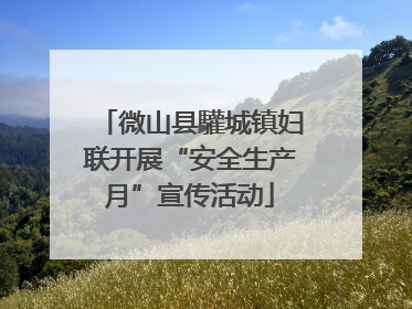 微山县驩城镇妇联开展“安全生产月”宣传活动