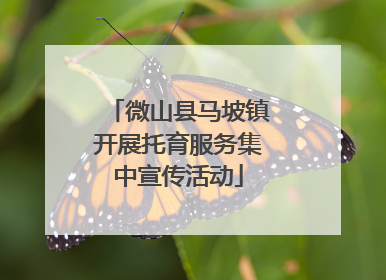 微山县马坡镇开展托育服务集中宣传活动