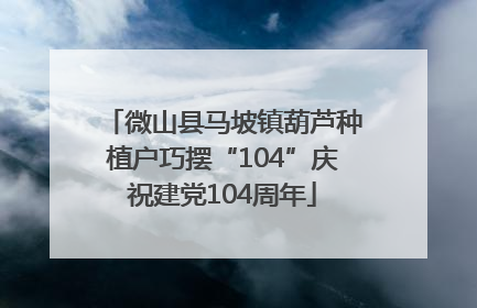 微山县马坡镇葫芦种植户巧摆“104”庆祝建党104周年