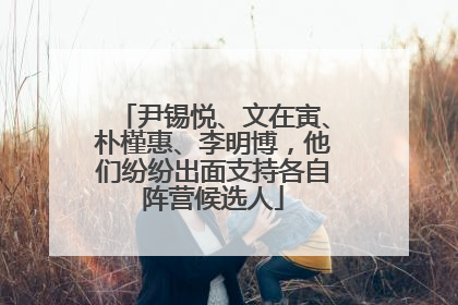 尹锡悦、文在寅、朴槿惠、李明博，他们纷纷出面支持各自阵营候选人